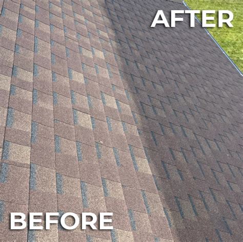 shingle preservation solution